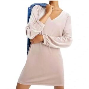 Madewell Blush V-Neck Long Sleeve Shift Dress